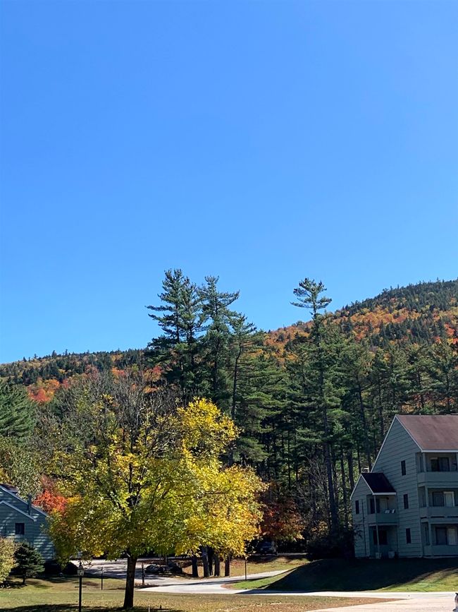 16F - 16F Seasons At Attitash Rd, Condo with 2 bedrooms, 2 bathrooms and null parking in Bartlett NH | Image 29