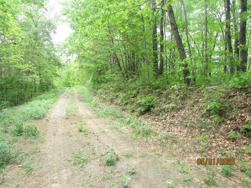 0 Taylor Knob Drive, Hayesville, NC, 28904 | Card Image