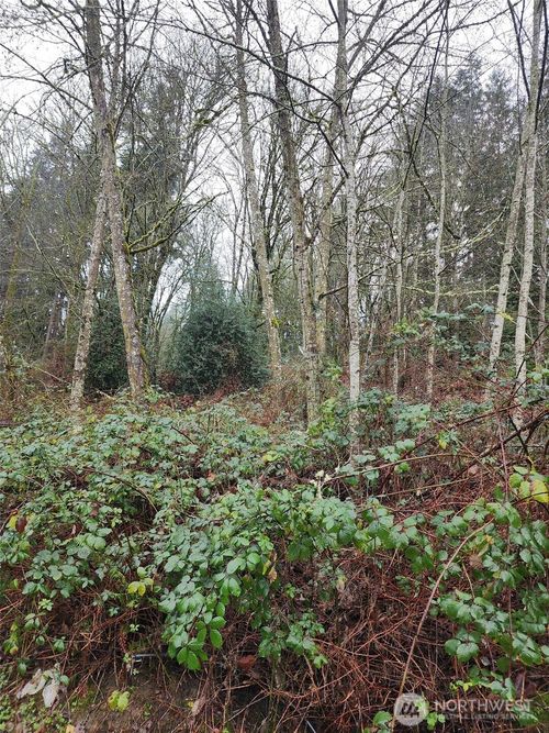 679 17th Ave Nw, Issaquah, WA, 98027-5371 | Card Image