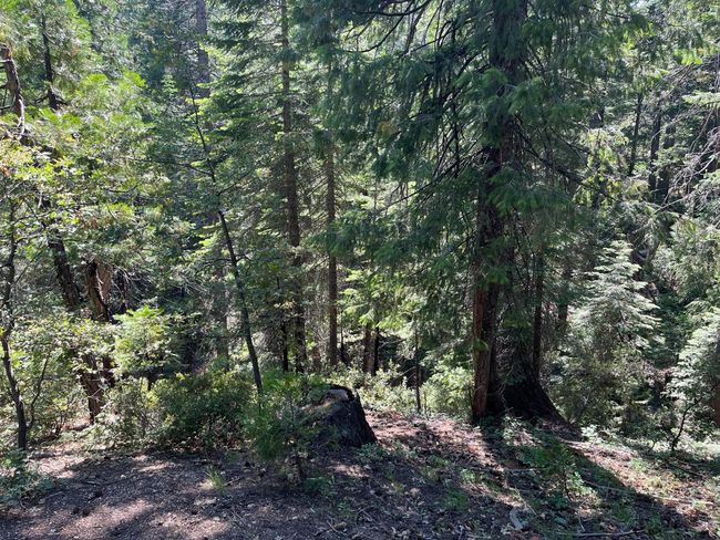 2761 Quincy La Porte Rd, Home with 0 bedrooms, 0 bathrooms and null parking in Strawberry Valley CA | Image 6