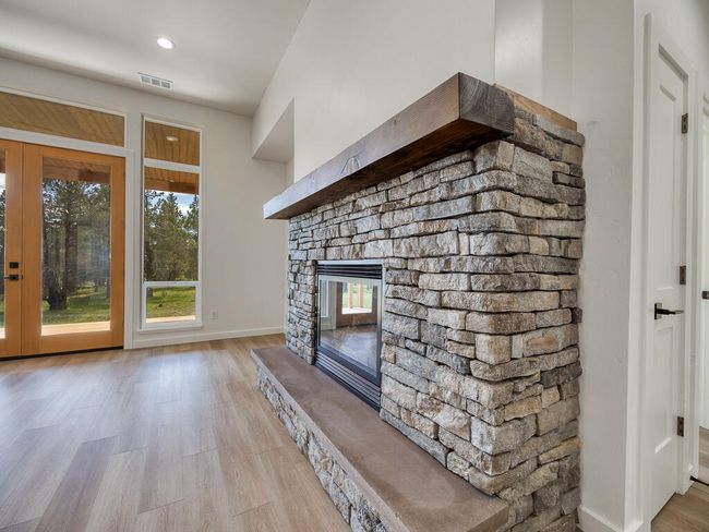 1168 Paper Birch-12 | Image 12