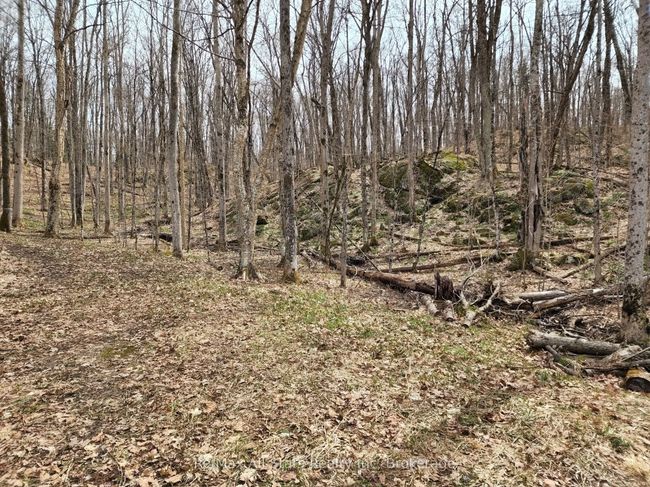 C - 781 Highway 520 Highway, Home with 0 bedrooms, 0 bathrooms and null parking in Whitestone ON | Image 17