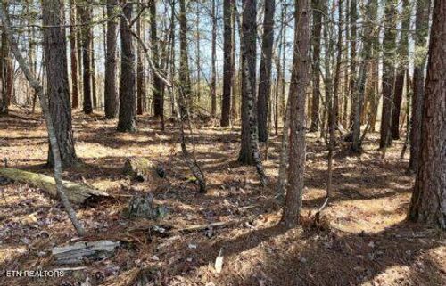 194 Forest Ridge Lane, Greenback, TN, 37742 | Card Image