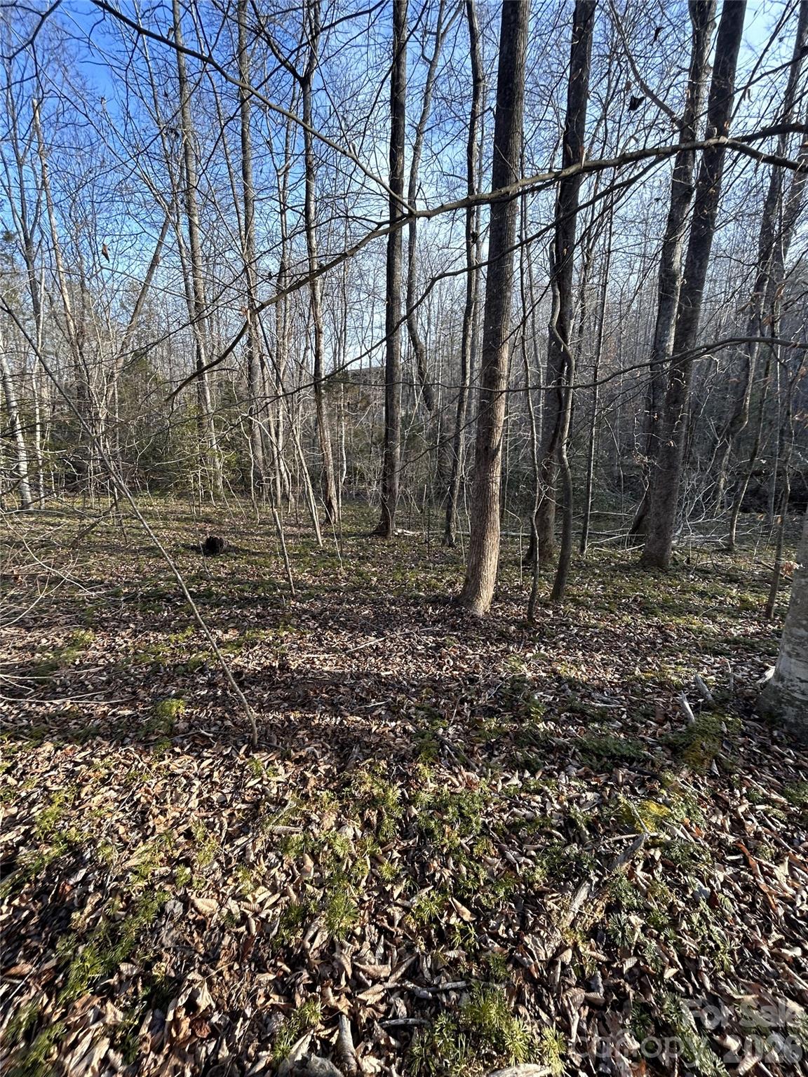 Land in Nebo 3