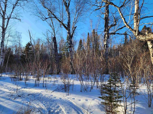 XX-2 Hoaglund Dr, Home with 0 bedrooms, 0 bathrooms and null parking in Tofte MN | Image 14