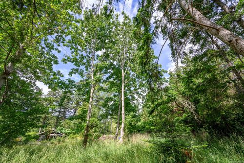 4920 Kirk Rd, Hornby Island, BC, V0R | Card Image