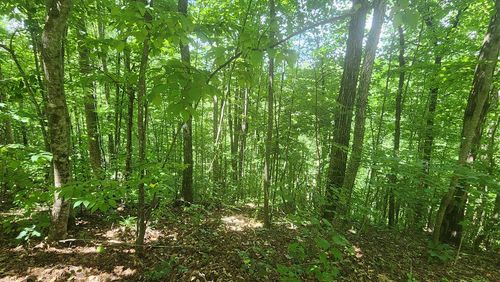 lot 15 Roaring Ridge Trl, Hiawassee, GA, 30546-2938 | Card Image