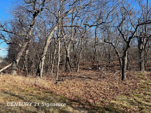 V/L Crescent Beach Road, Caseville Township, MI, 48755 | Card Image