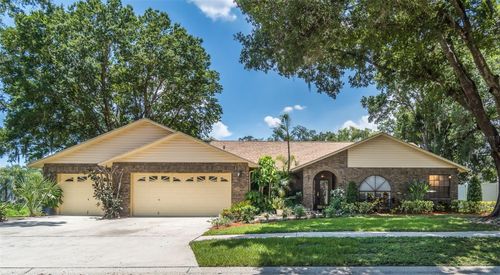 714 Pennyroyal Pl, BRANDON, FL, 33510-2976 | Card Image