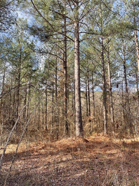 Land in Broken Bow 3