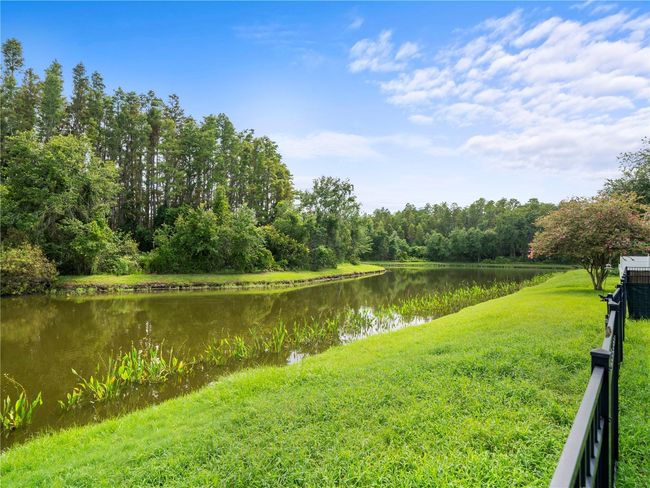30638 Nickerson Loop, House other with 4 bedrooms, 2 bathrooms and null parking in WESLEY CHAPEL FL | Image 28