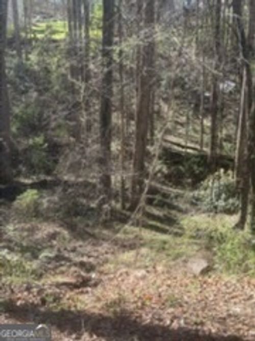 10996 Shannon Cir, Hampton, GA, 30228 | Card Image