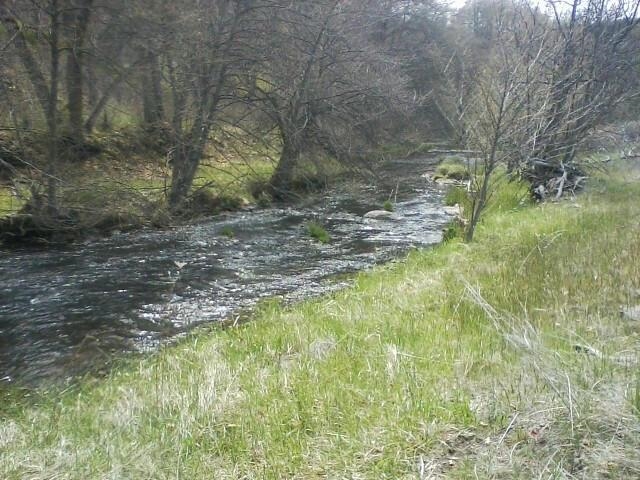 Land in Hornbrook 5