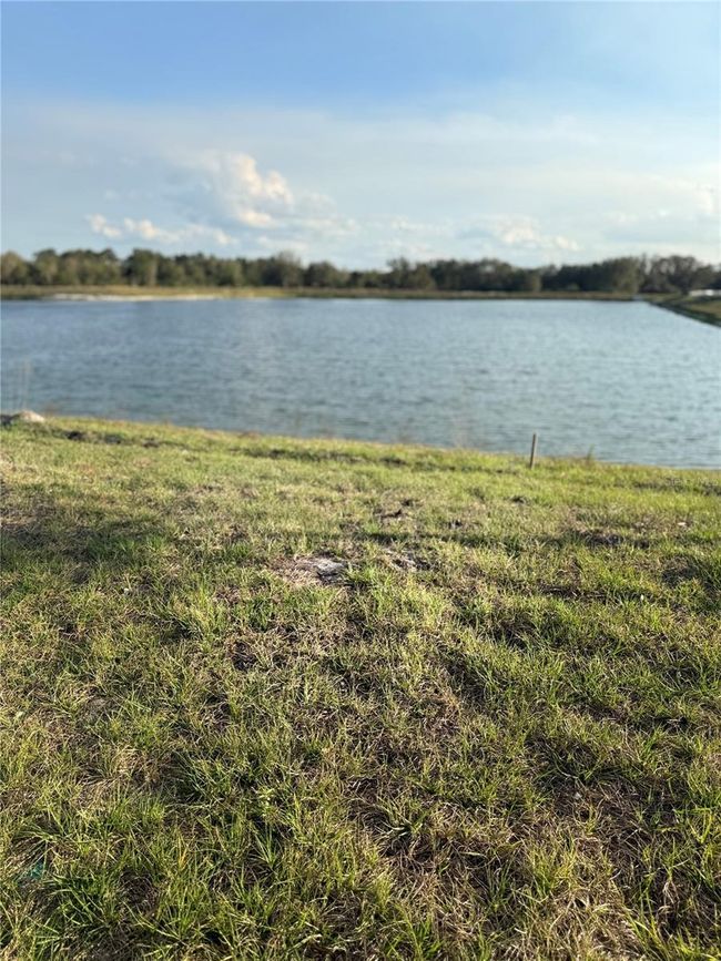 1281 Deepwater Cir, House other with 5 bedrooms, 3 bathrooms and null parking in EAGLE LAKE FL | Image 29