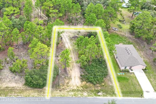 9542 N Paradisea Dr, Citrus Springs, FL, 34433-3914 | Card Image