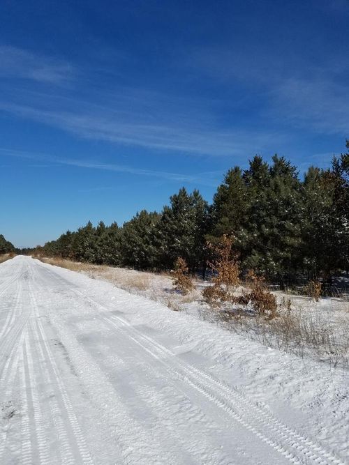 meteor-8290-2-ON 13th Avenue, BIG FLATS, WI, 54457 | Card Image