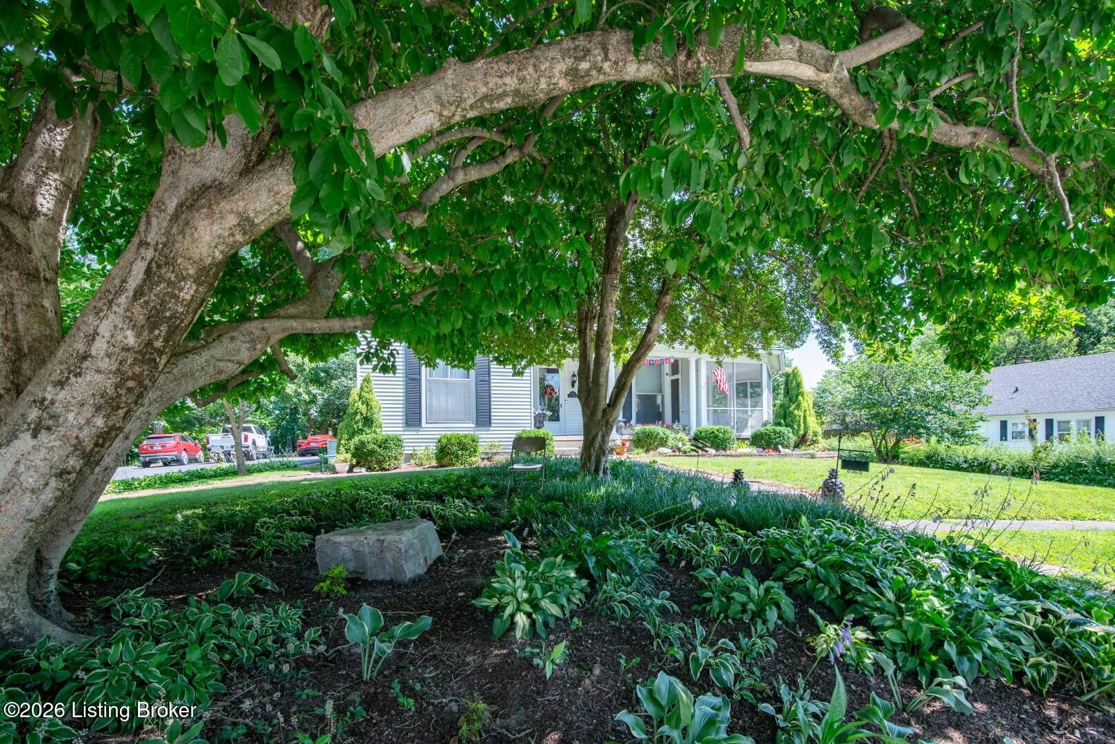 Residential in Leitchfield 4