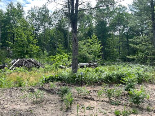 TBD Hoosier Flats Road, Blair Township, MI, 49685 | Card Image