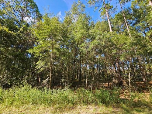 TBD Sw 21st St, OCALA, FL, 34481 | Card Image