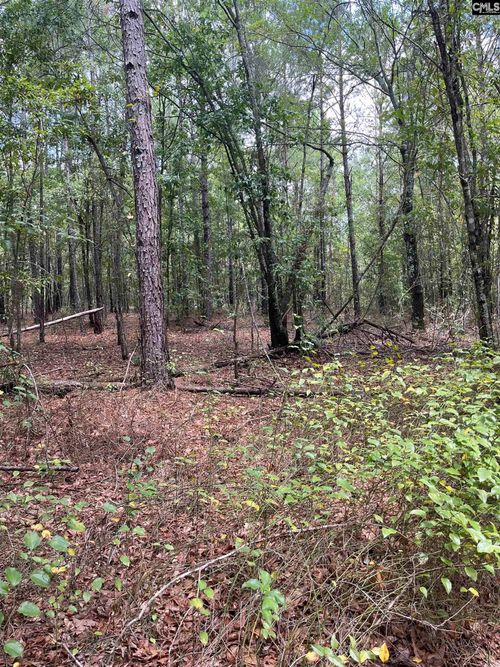 BHL 6 Boise Cascade Road, Bethune, SC, 29009 | Card Image