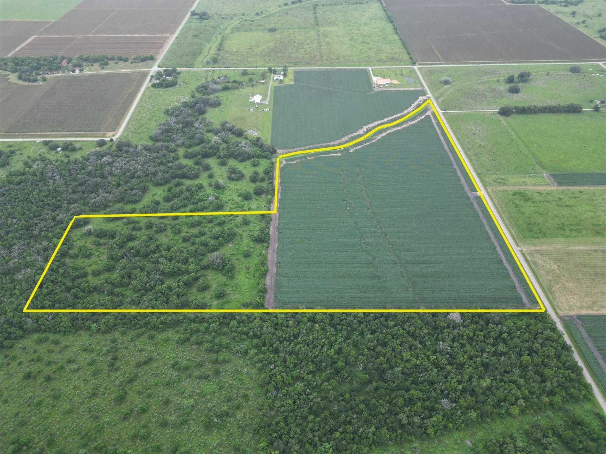 Farm in Damon 5