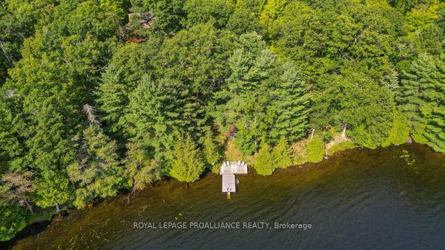 1091 Lindey Lane, House other with 3 bedrooms, 1 bathrooms and 8 parking in North Frontenac ON | Image 47