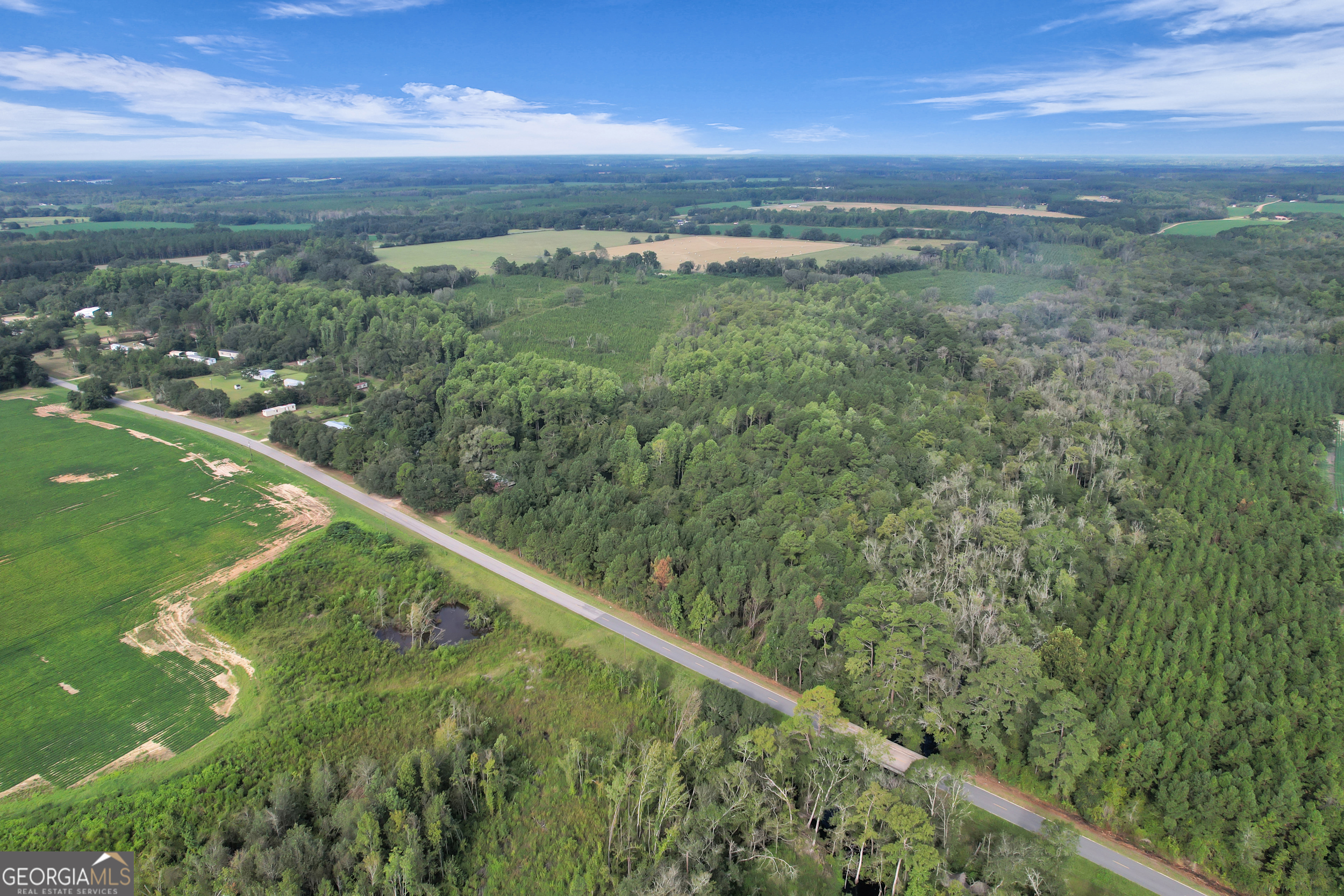 Land in Screven 5
