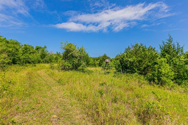 View of local wilderness | Image 23