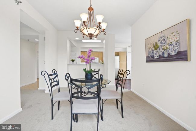 APT-621 - 3005 S Leisure World Blvd, Condo with 2 bedrooms, 2 bathrooms and null parking in SILVER SPRING MD | Image 13