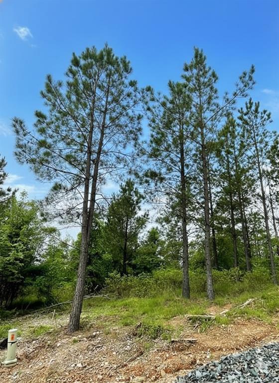 Land in Broken Bow