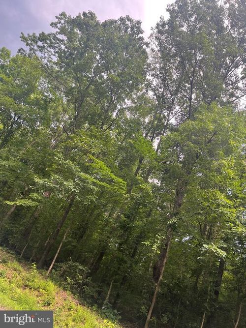 0 Meander Run Rd, LOCUST DALE, VA, 22948 | Card Image