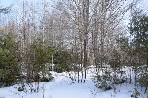 M7 L13-1 Pine Bluff Road, Embden, ME, 04958 | Card Image