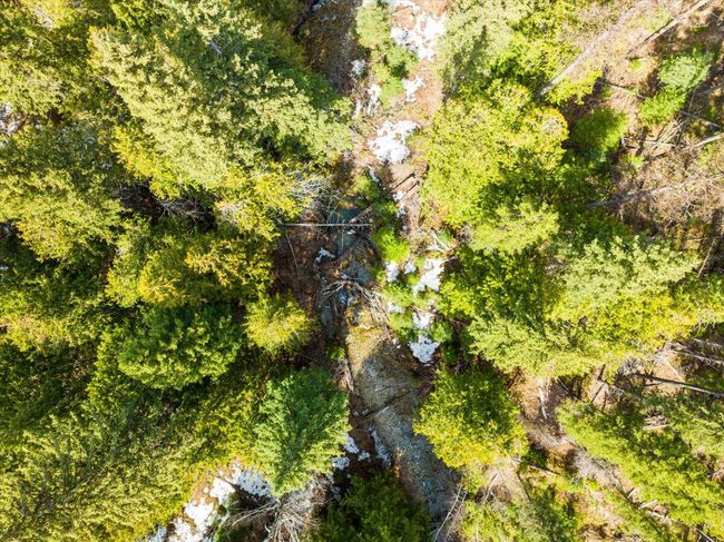 Aerial view to Piper Creek | Image 23