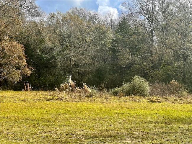 View of wooded area | Image 5