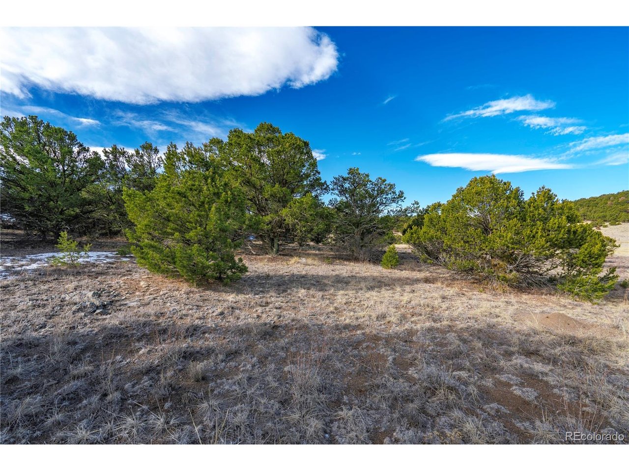 Land in Canon City 5