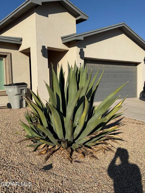 3460 David Palacio Dr, El Paso, TX, 79938-2210 | Card Image