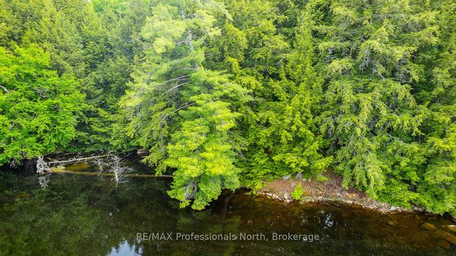 0 Prestige Crt, Home with 0 bedrooms, 0 bathrooms and null parking in Haliburton ON | Image 12