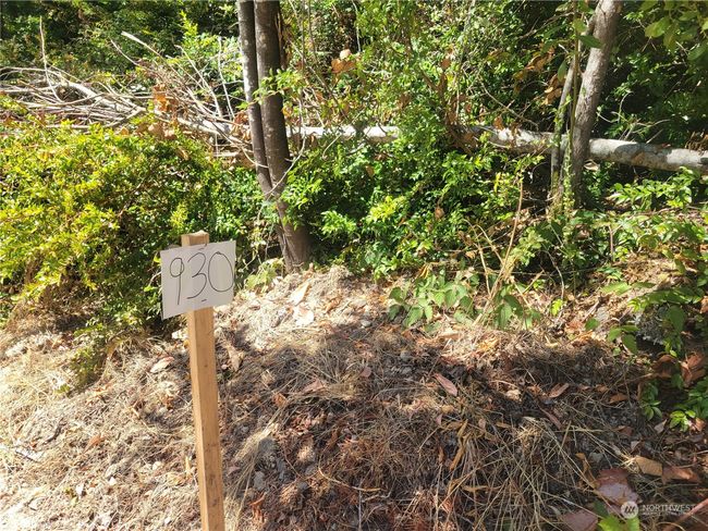 Approximate South Boundary | Image 7