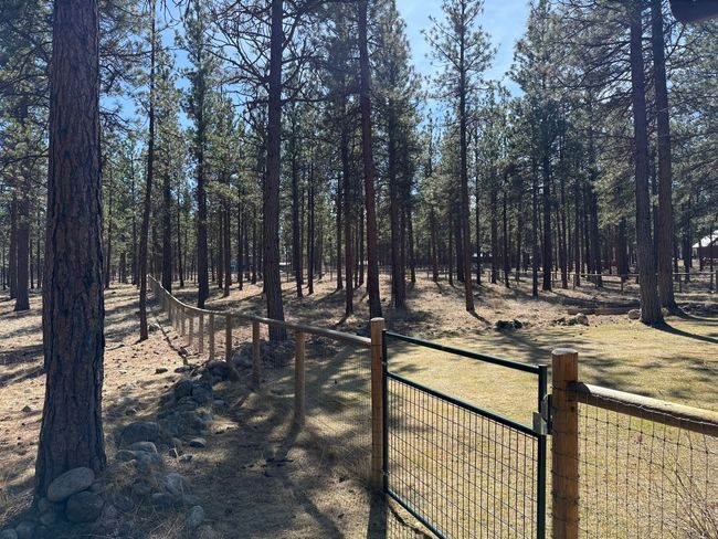 1 acre yard featuring a gate and fence, dog run | Image 51