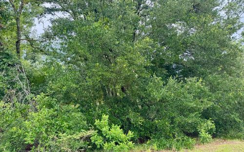 LOT 7 Nw Bur Oak Pl, JENNINGS, FL, 32053 | Card Image