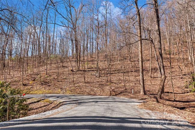 965 Wolf Pen Rd, Home with 0 bedrooms, 0 bathrooms and null parking in Old Fort NC | Image 20