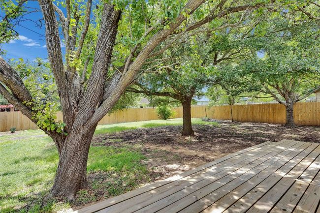 Beautiful back yard | Image 27