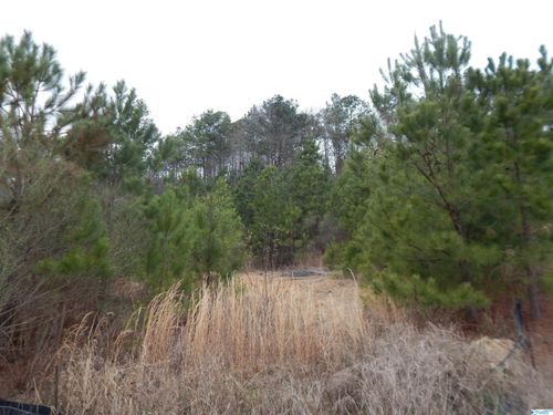 59.61 Acres Faith School Road, Mccalla, AL, 35111 | Card Image