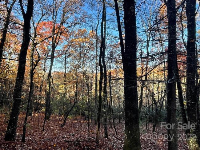 4 - 9999 Sassafras Ln, Home with 0 bedrooms, 0 bathrooms and null parking in Cedar Mountain NC | Image 25