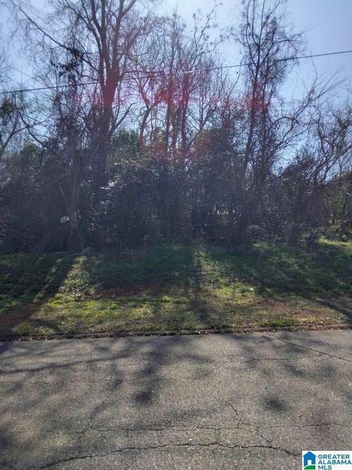 0-0 Dr L.C. Mcmillian Avenue, Troy, AL, 36081 | Card Image