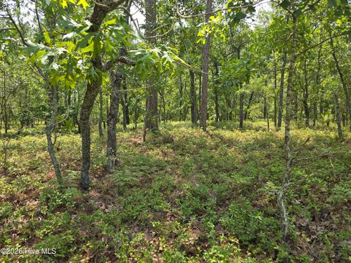 lot-10-Lot 10 Woola Woola Rd, Grantsboro, NC, 28529-7003 | Card Image