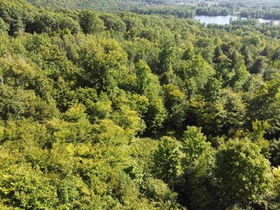 The pond seen in the distance is not part of the property | Image 3