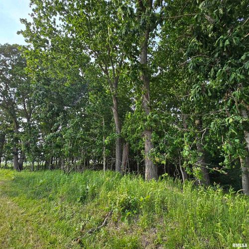 000 Wilson Rd, Kinmundy, IL, 62854 | Card Image