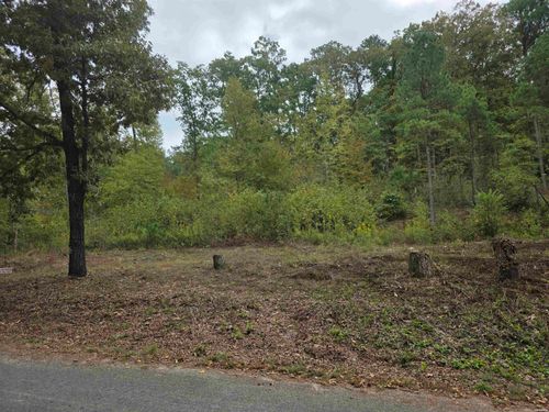 2939 Little Blakely Creek Rd, Jessieville, AR, 71949-9771 | Card Image