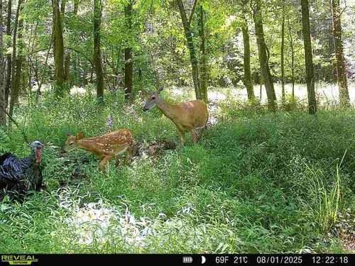 0 Garrett Dr, Grove City, PA, 16127 | Card Image